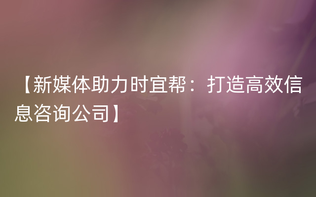 【新媒体助力时宜帮：打造高效信息咨询公司】