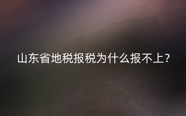 山东省地税报税为什么报不上？