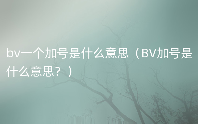 bv一个加号是什么意思（BV加号是什么意思？）