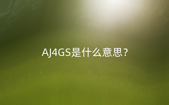 AJ4GS是什么意思？