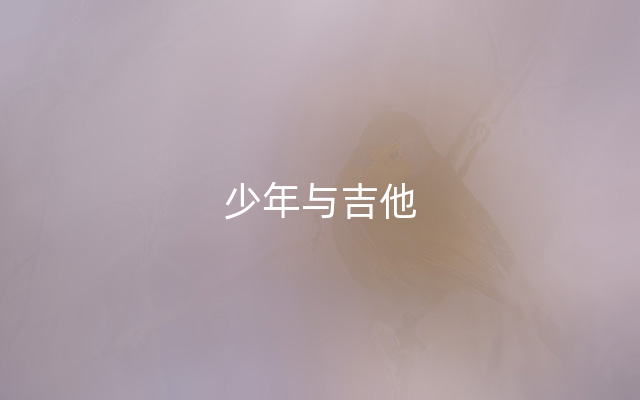 少年与吉他