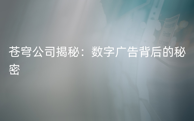 苍穹公司揭秘：数字广告背后的秘密