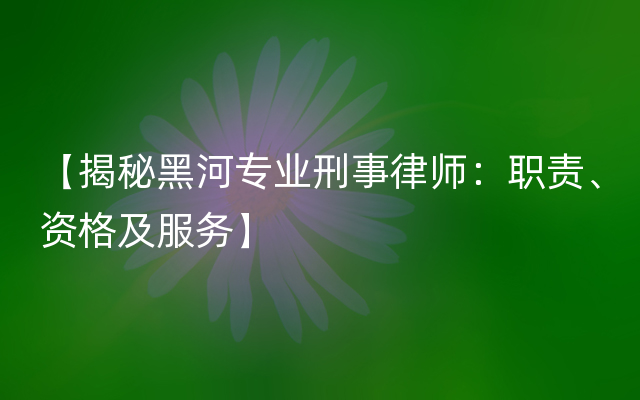 【揭秘黑河专业刑事律师：职责、资格及服务】