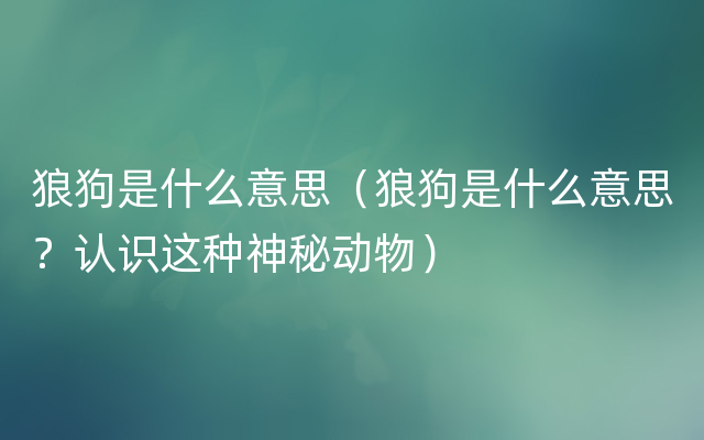 狼狗是什么意思（狼狗是什么意思？认识这种神秘动