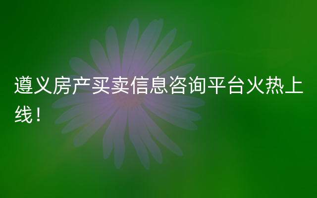 遵义房产买卖信息咨询平台火热上线！