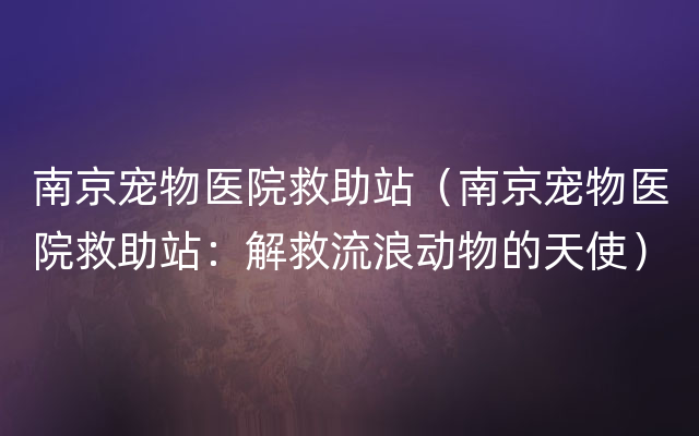 南京宠物医院救助站（南京宠物医院救助站：解救流浪动物的天使）