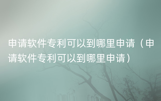 申请软件专利可以到哪里申请（申请软件专利可以到