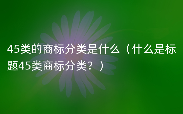 45类的商标分类是什么（什么是标题45类商标分类？）