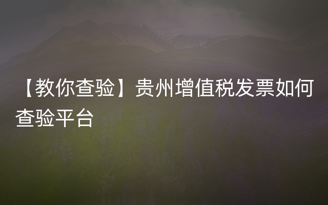 【教你查验】贵州增值税发票如何查验平台