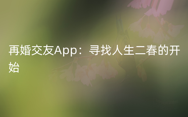 再婚交友App：寻找人生二春的开始