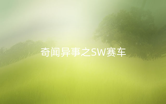 奇闻异事之SW赛车