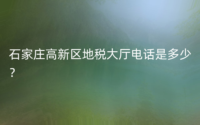 石家庄高新区地税大厅电话是多少？