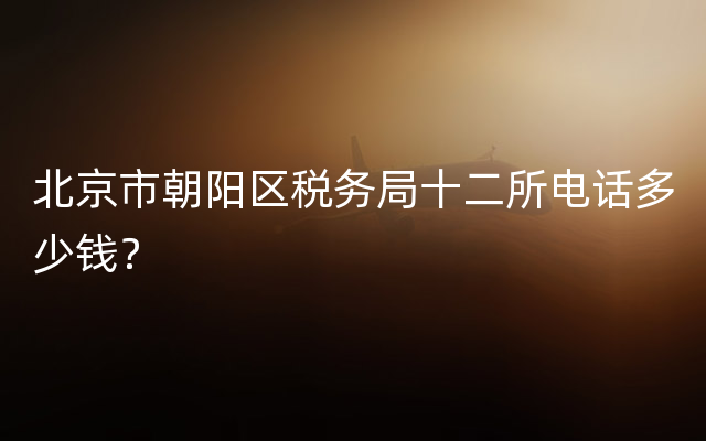 北京市朝阳区税务局十二所电话多少钱？