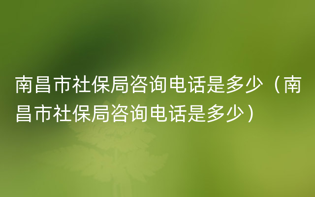 南昌市社保局咨询电话是多少（南昌市社保局咨询电话是多少）