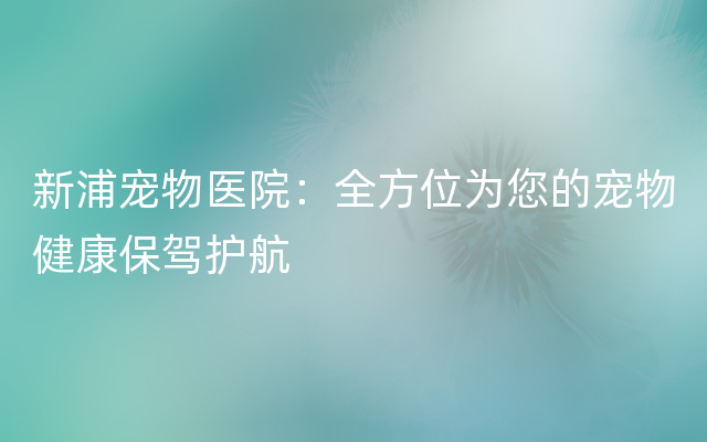 新浦宠物医院：全方位为您的宠物健康保驾护航