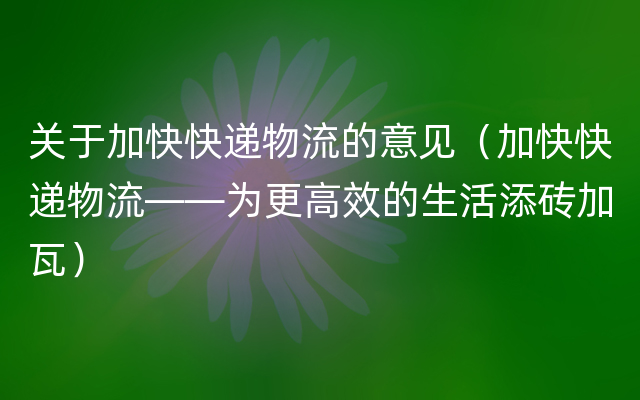 关于加快快递物流的意见（加快快递物流——为更高效的生活添砖加瓦）