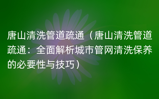 唐山清洗管道疏通（唐山清洗管道疏通：全面解析城市管网清洗保养的必要性与技巧）