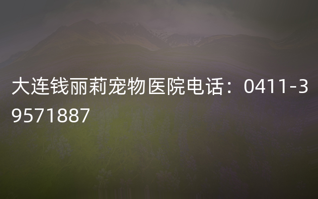 大连钱丽莉宠物医院电话：0411-39571887