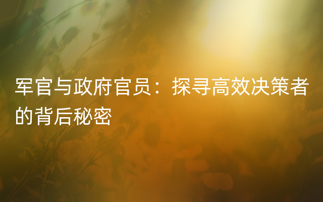 军官与政府官员：探寻高效决策者的背后秘密