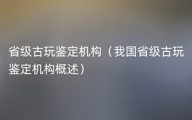 省级古玩鉴定机构（我国省级古玩鉴定机构概述）