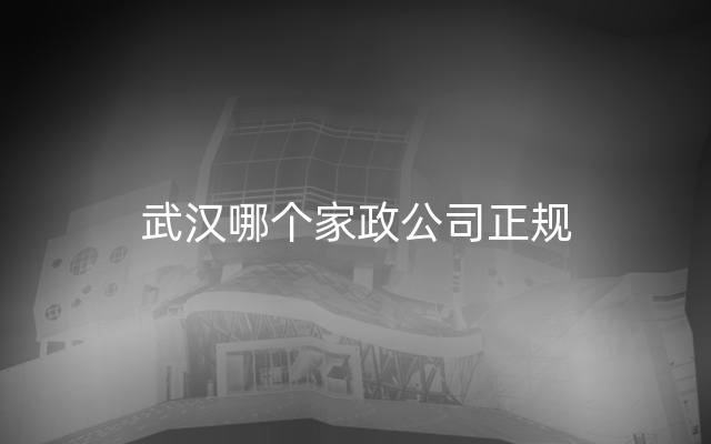 武汉哪个家政公司正规