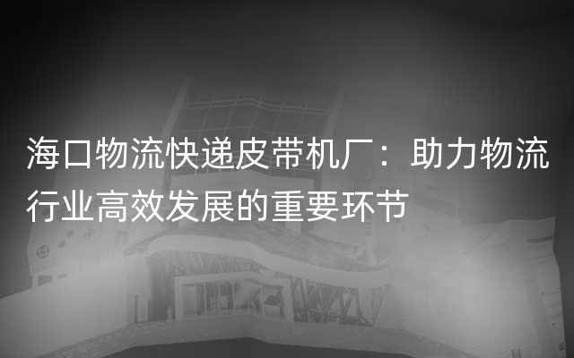 海口物流快递皮带机厂：助力物流行业高效发展的重要环节