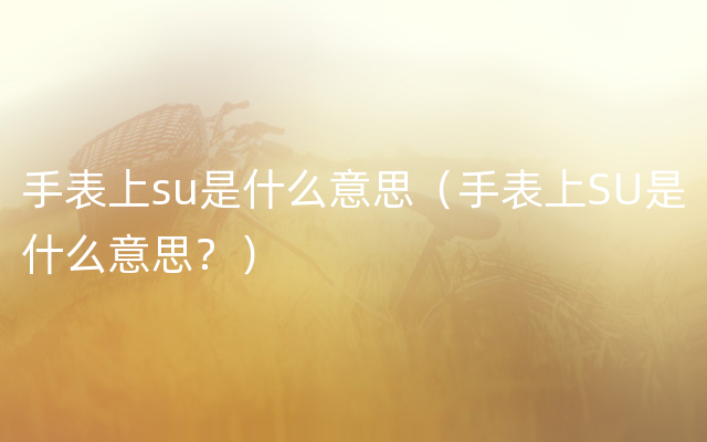 手表上su是什么意思（手表上SU是什么意思？）