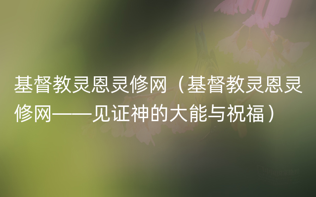 基督教灵恩灵修网（基督教灵恩灵修网——见证神的大能与祝福）