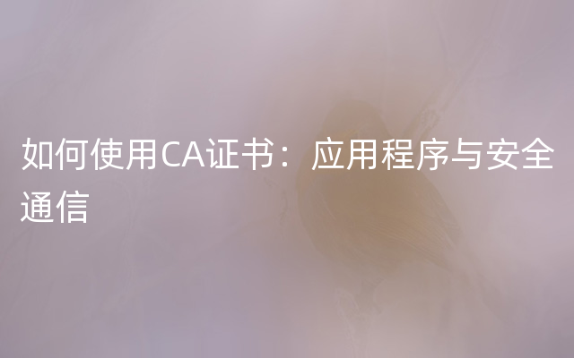 如何使用CA证书：应用程序与安全通信