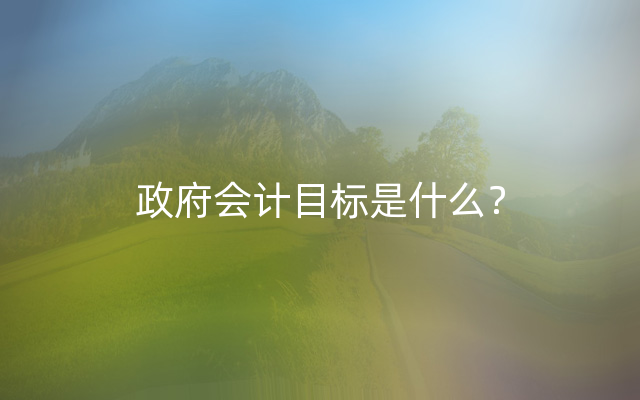 政府会计目标是什么？