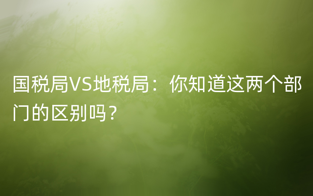 国税局VS地税局：你知道这两个部门的区别吗？