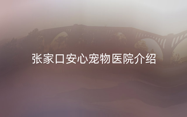 张家口安心宠物医院介绍