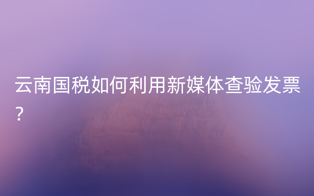 云南国税如何利用新媒体查验发票？