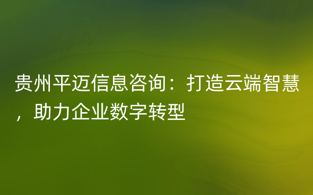 贵州平迈信息咨询：打造云端智慧，助力企业数字转