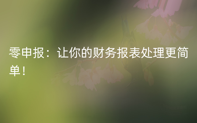 零申报：让你的财务报表处理更简单！