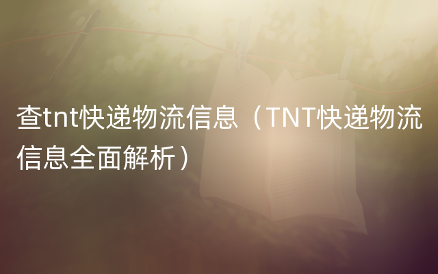 查tnt快递物流信息（TNT快递物流信息全面解析）