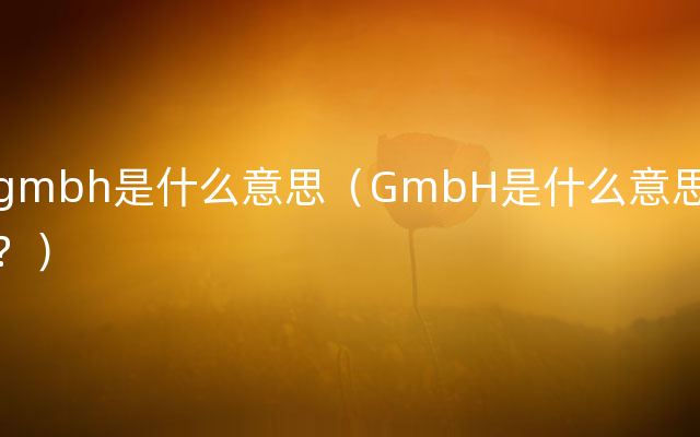 gmbh是什么意思（GmbH是什么意思？）