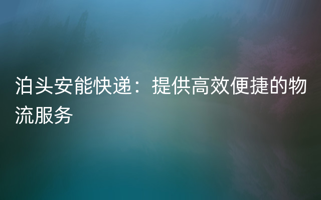 泊头安能快递：提供高效便捷的物流服务