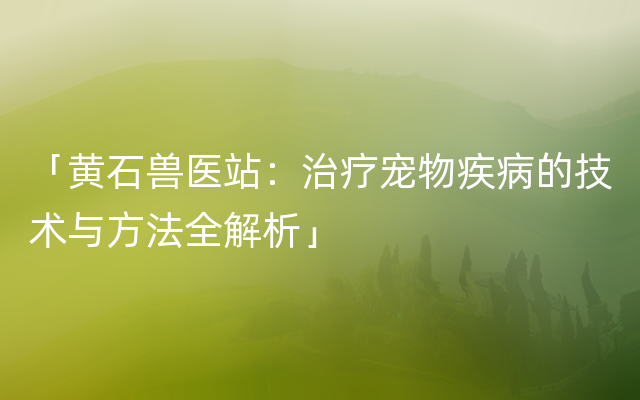 「黄石兽医站：治疗宠物疾病的技术与方法全解析」