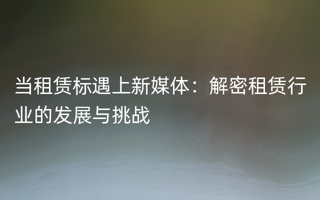 当租赁标遇上新媒体：解密租赁行业的发展与挑战