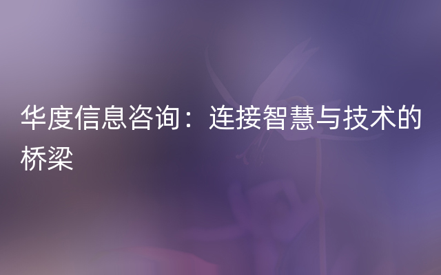 华度信息咨询：连接智慧与技术的桥梁