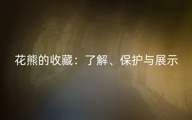 花熊的收藏：了解、保护与展示