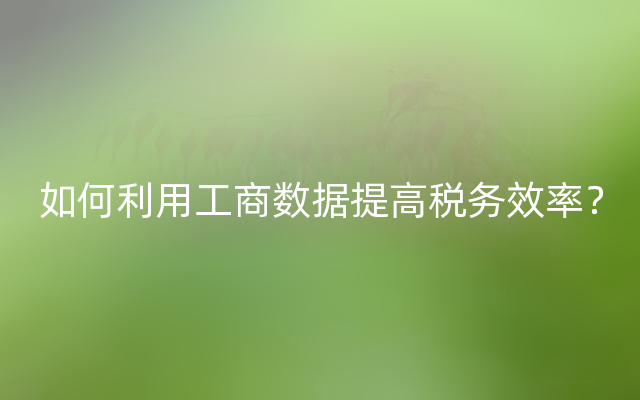 如何利用工商数据提高税务效率？