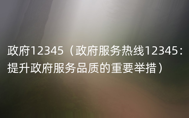 政府12345（政府服务热线12345：提升政府服务品质的重要举措）