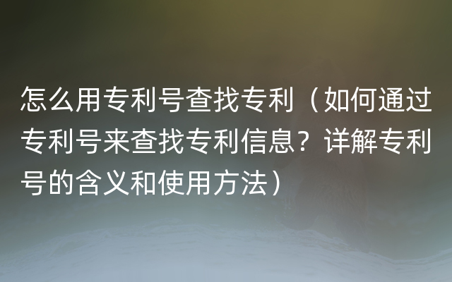 怎么用专利号查找专利（如何通过专利号来查找专利信息？详解专利号的含义和使用方法）