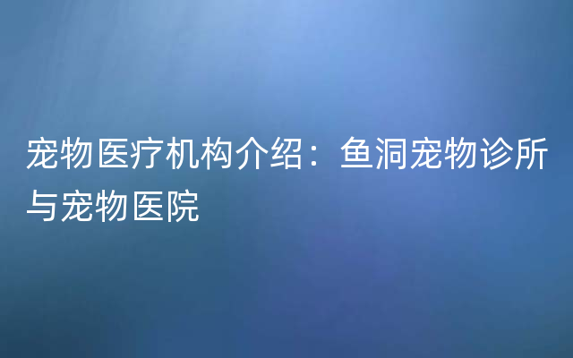 宠物医疗机构介绍：鱼洞宠物诊所与宠物医院