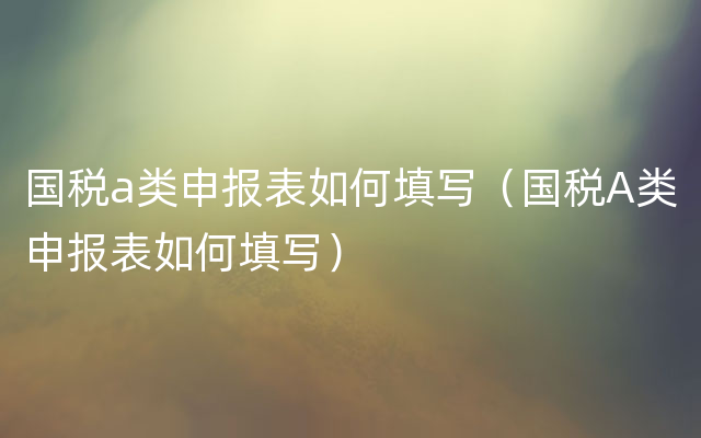 国税a类申报表如何填写（国税A类申报表如何填写）