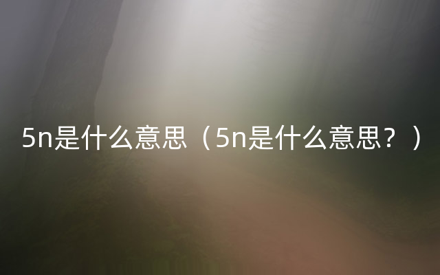 5n是什么意思（5n是什么意思？）