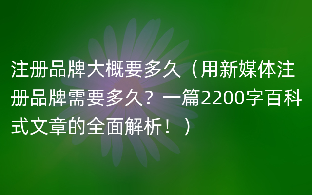 注册品牌大概要多久（用新媒体注册品牌需要多久？一篇2200字百科式文章的全面解析！）