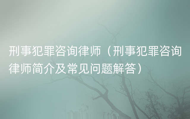 刑事犯罪咨询律师（刑事犯罪咨询律师简介及常见问题解答）